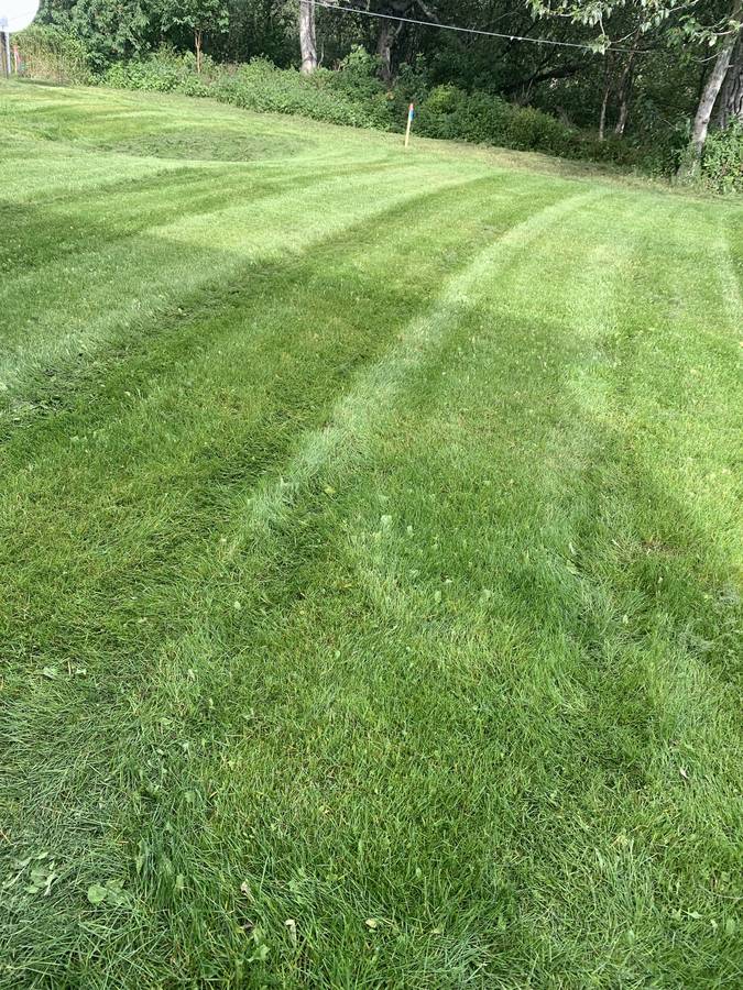 Clean, freshly mowed Palmer yard after a spring cleanup