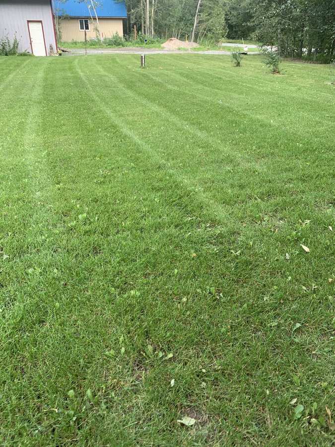 Large Palmer, Alaska property mowed with sharp lawn stripes by 49th State Lawn & Snow